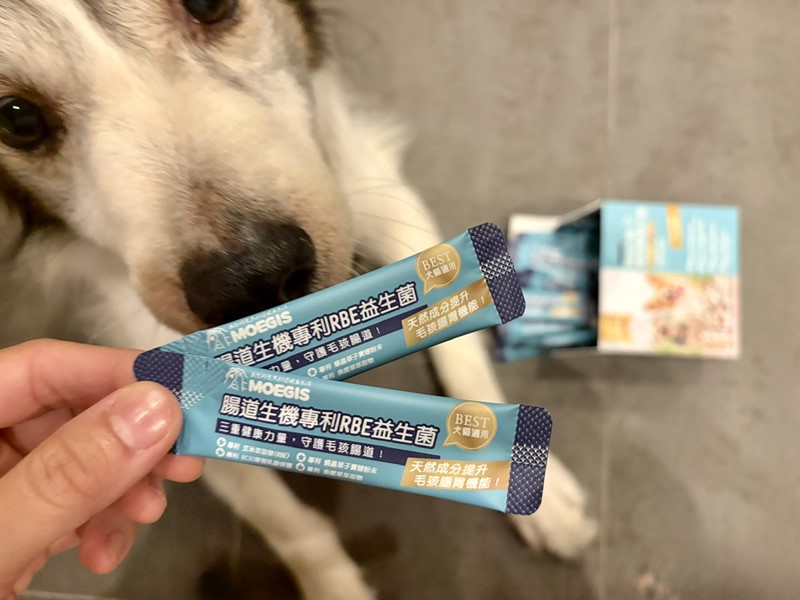 女人知己試用大隊,口碑行銷,部落客行銷,Moegis萌吉 腸道生機專利RBE益生菌,寵物益生菌,專利RBE益生元,專利蔬果酵素,小分子胜肽,藍藻粉,維持免疫力,幫助維持消化道機能,維持正常食慾,改變細菌叢生態,腸胃保健,犬貓適用